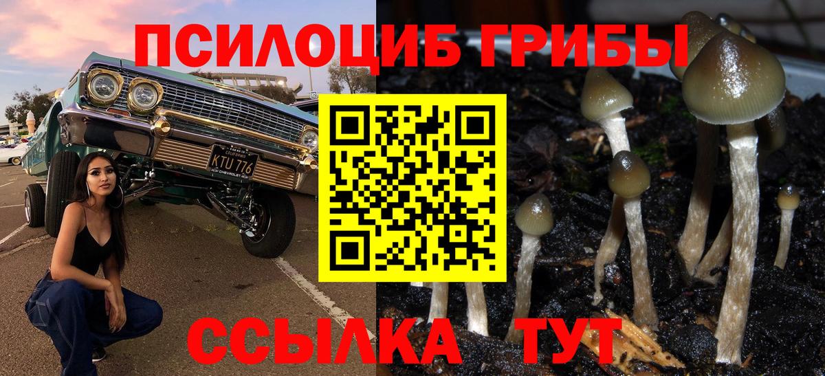 Псилоцибиновые грибы ЛСД  Псилоцибиновые грибы Psilocybine cubensis  Вход с VPN  где можно купить наркотик  Сальск 
